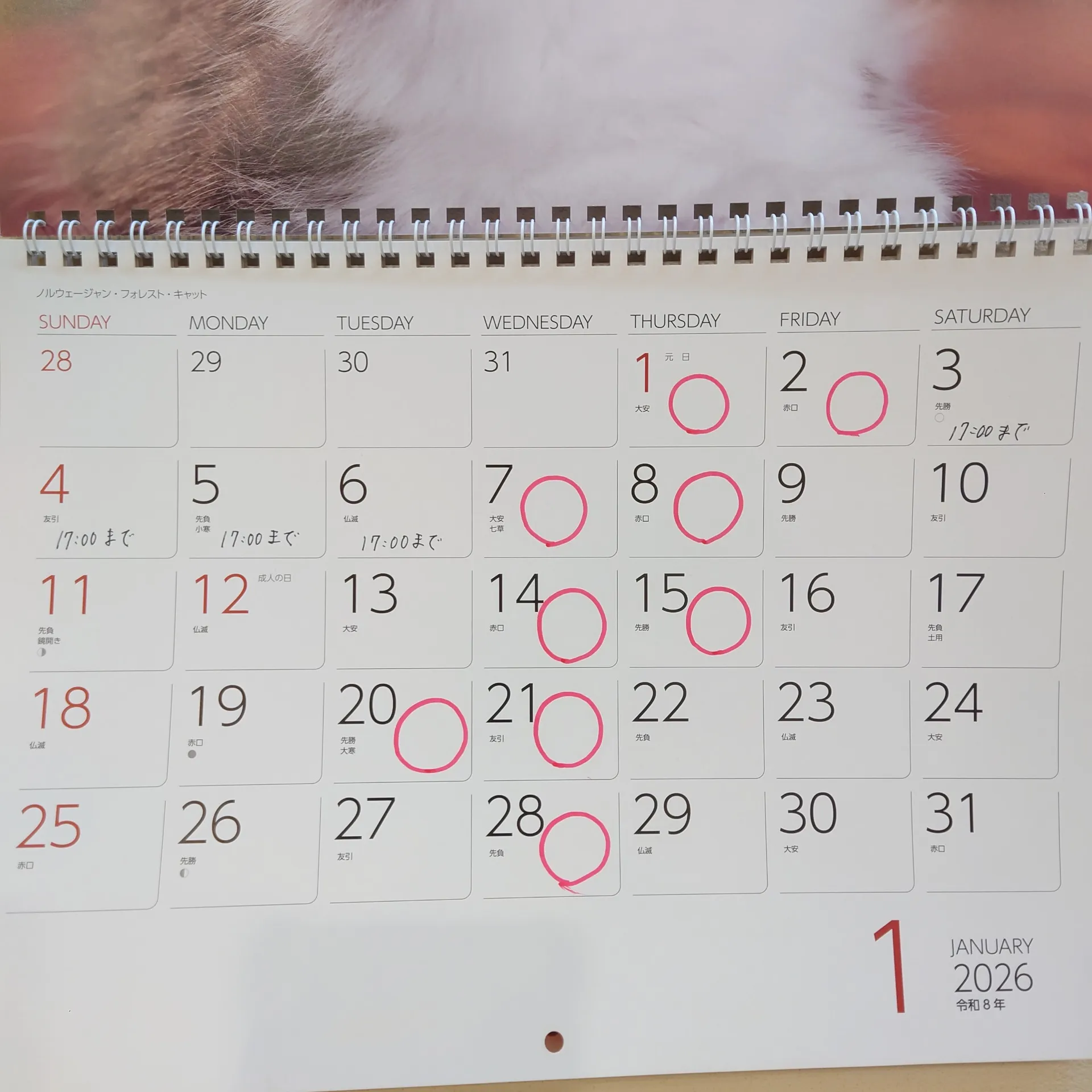 あけましておめでとうございます