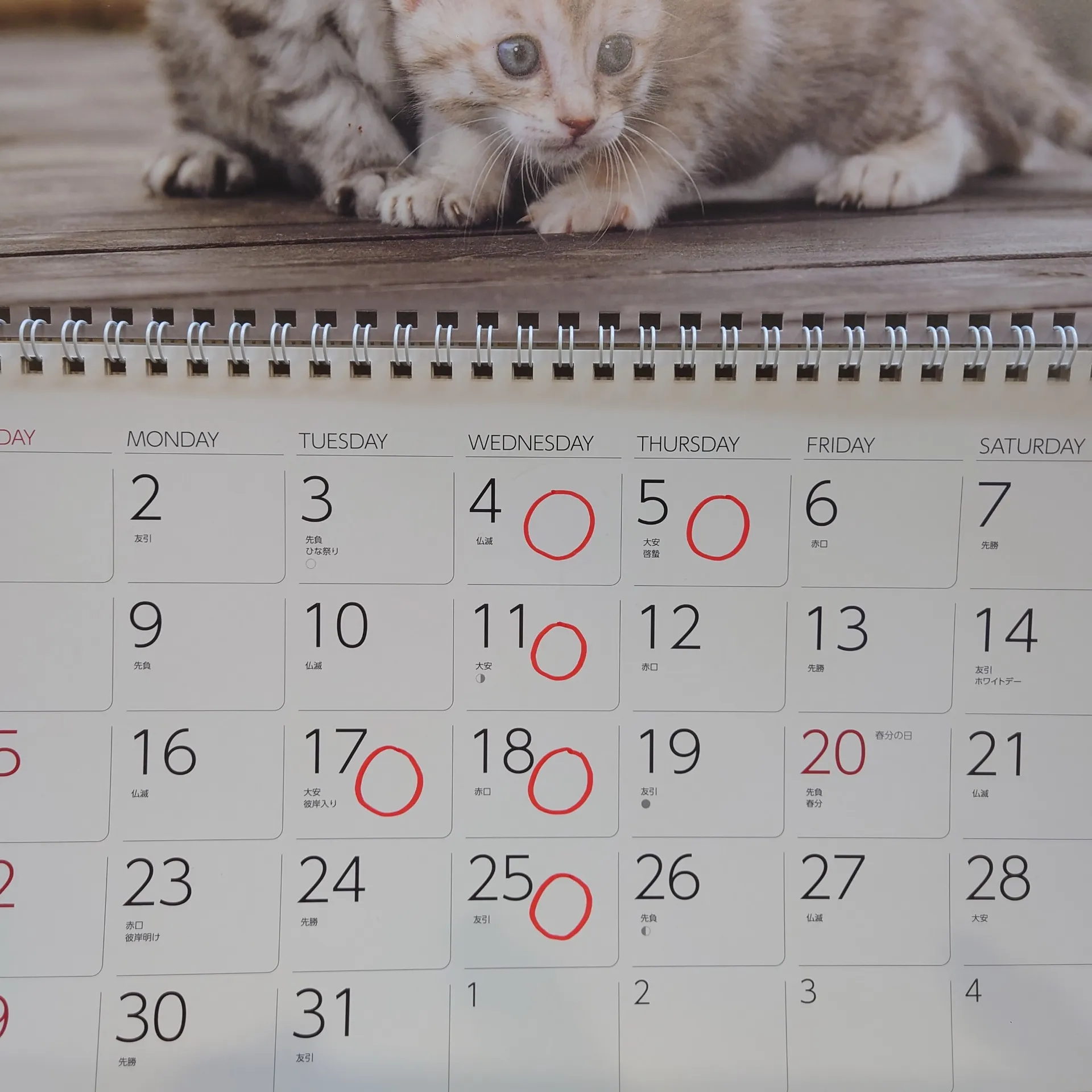 3月の定休日のお知らせ