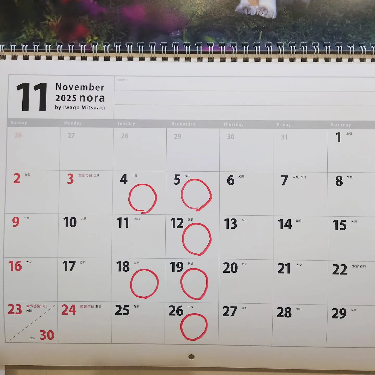 【11月の定休日のお知らせ】