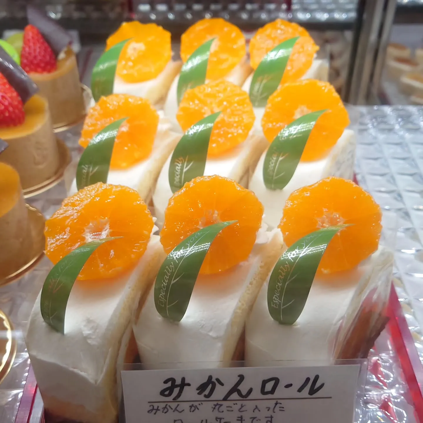 成人式を迎える皆さまおめでとうございます✨