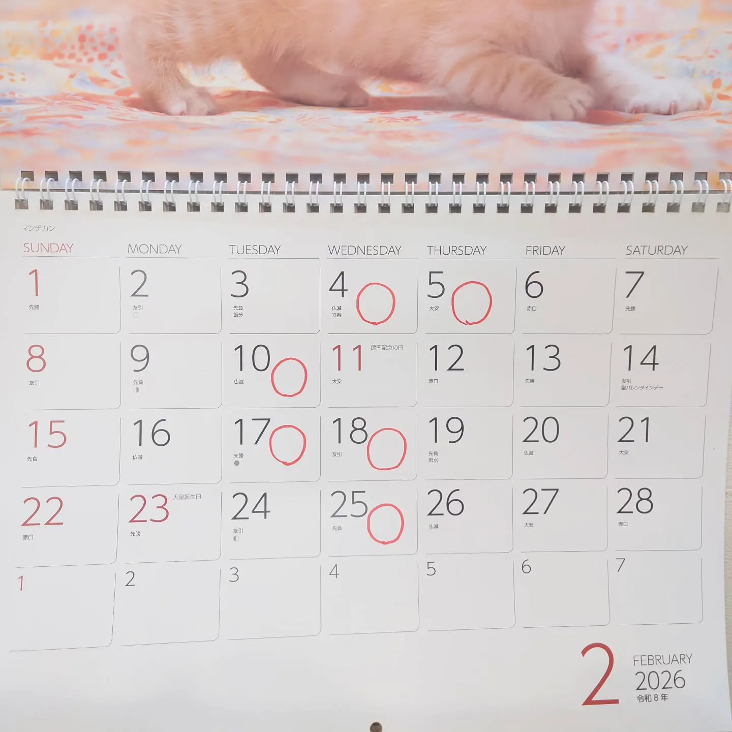 2月の定休日のお知らせ