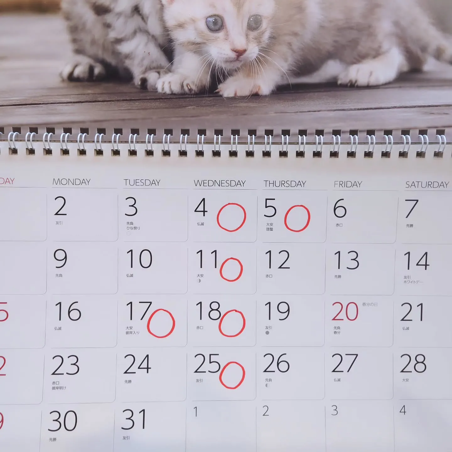 【3月の定休日のお知らせ】