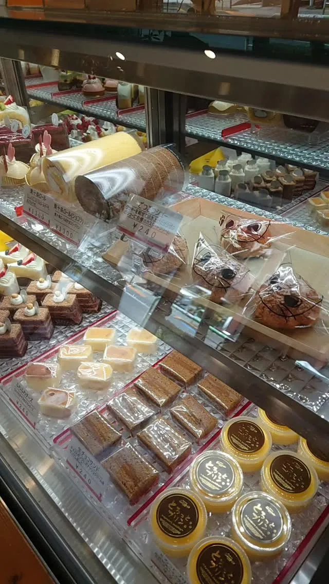 春の訪れを感じる季節🌸